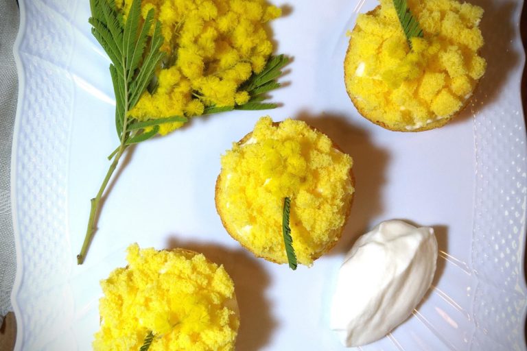 torta mimosa torta mimosa